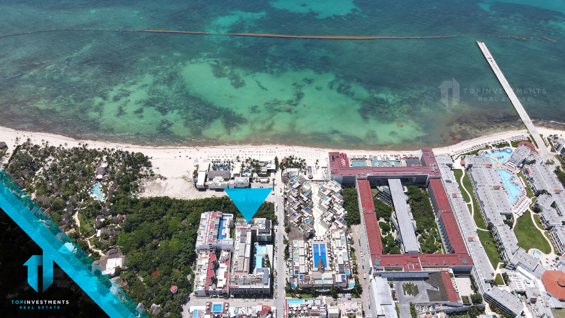 Oceana: Depa en Playa del Carmen y Mamitas Beach