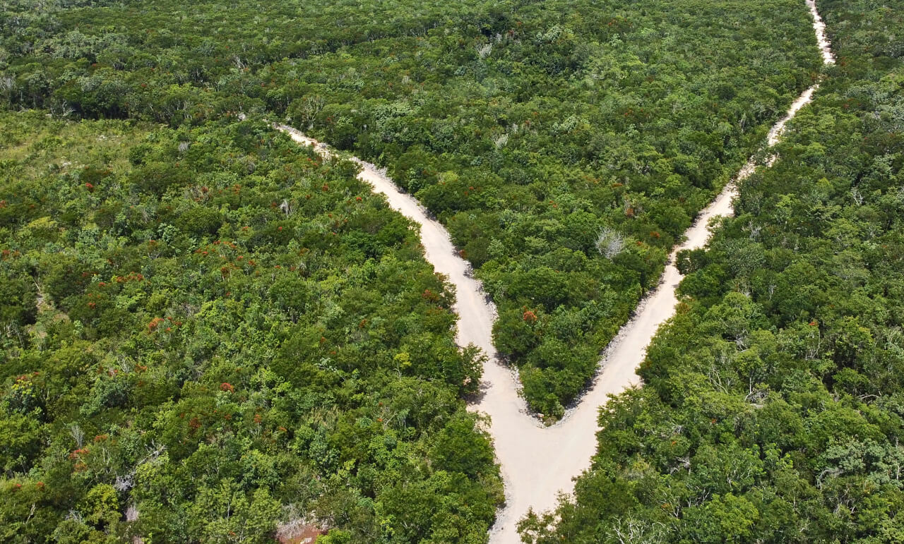 Comunidad ecológica con Hectáreas residenciales en Tulum