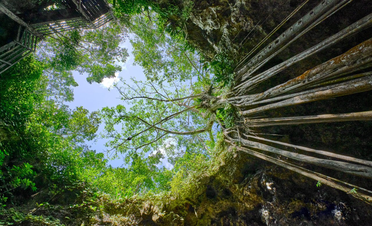 Comunidad ecológica con Hectáreas residenciales en Tulum