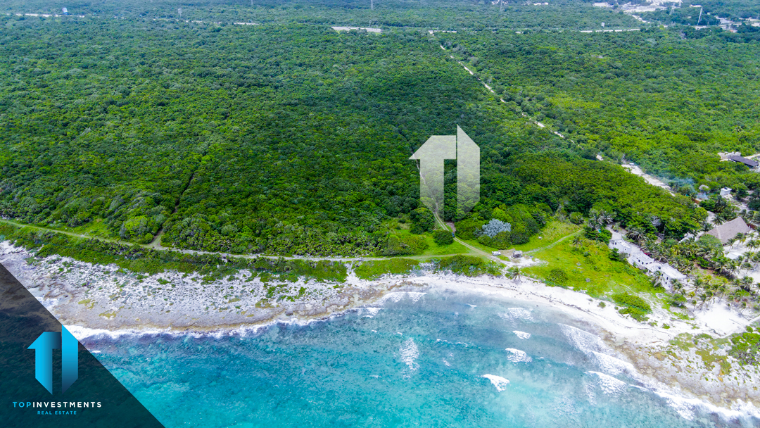 Punta Paraíso: Exclusivos Lotes frente a la playa – Riviera Maya