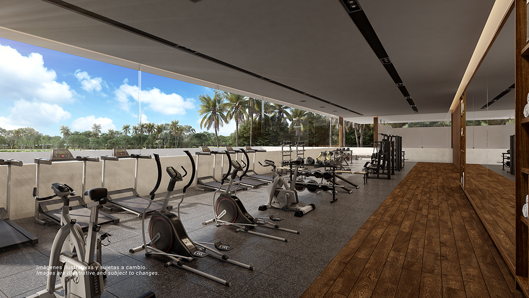 Punta Paraíso: Exclusivos Lotes frente a la playa – Riviera Maya