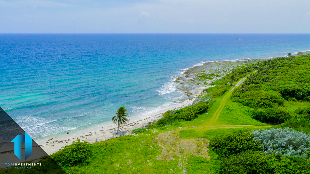 Punta Paraíso: Exclusivos Lotes frente a la playa – Riviera Maya