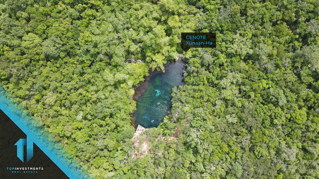 Terrenos en venta en zona de Cenotes Chemuyil – Tulum