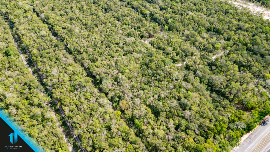 Terrenos en venta frente al nuevo Aeropuerto de Tulum