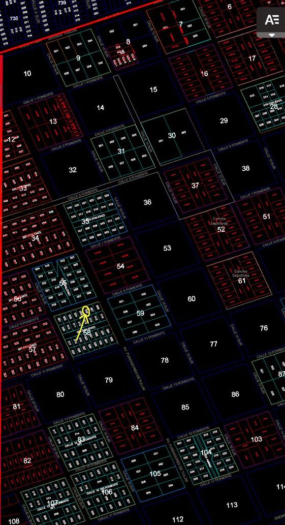 PHOTO-2024-10-20-12-00-40