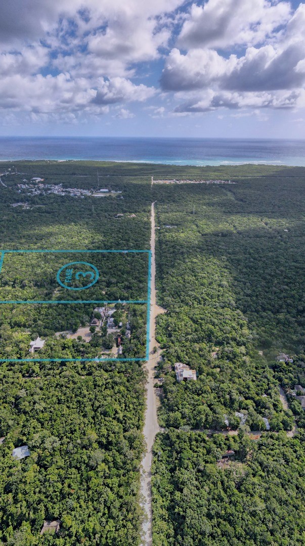 Lote con Cenote y Gran Plusvalía en Venta en Chemuyil