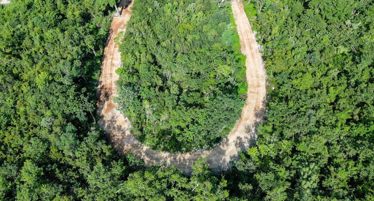 Villas de Lujo en Xacan rodeadas de naturaleza en Tulum