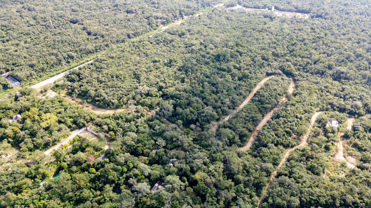 Villas de Lujo en Xacan rodeadas de naturaleza en Tulum