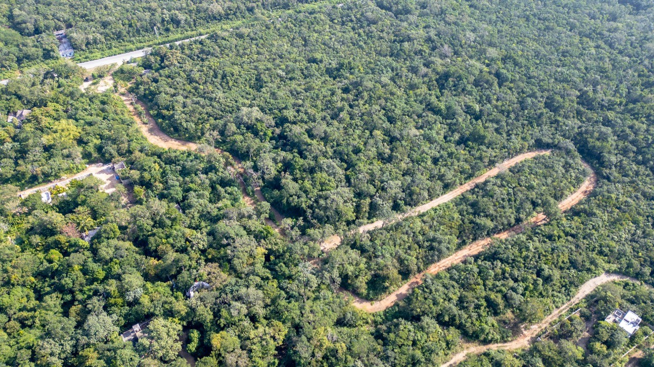Villas de Lujo en Xacan rodeadas de naturaleza en Tulum