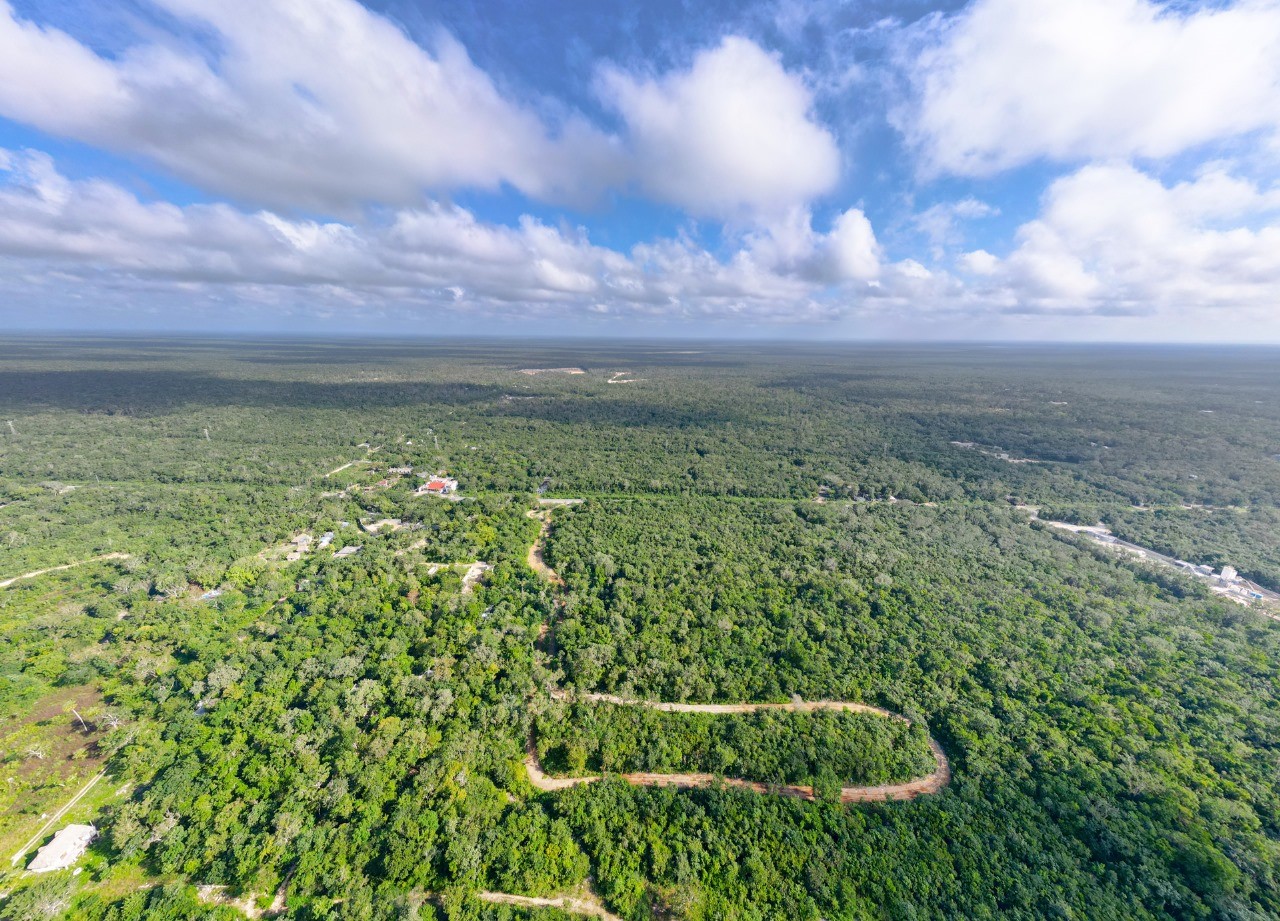 Villas de Lujo en Xacan rodeadas de naturaleza en Tulum