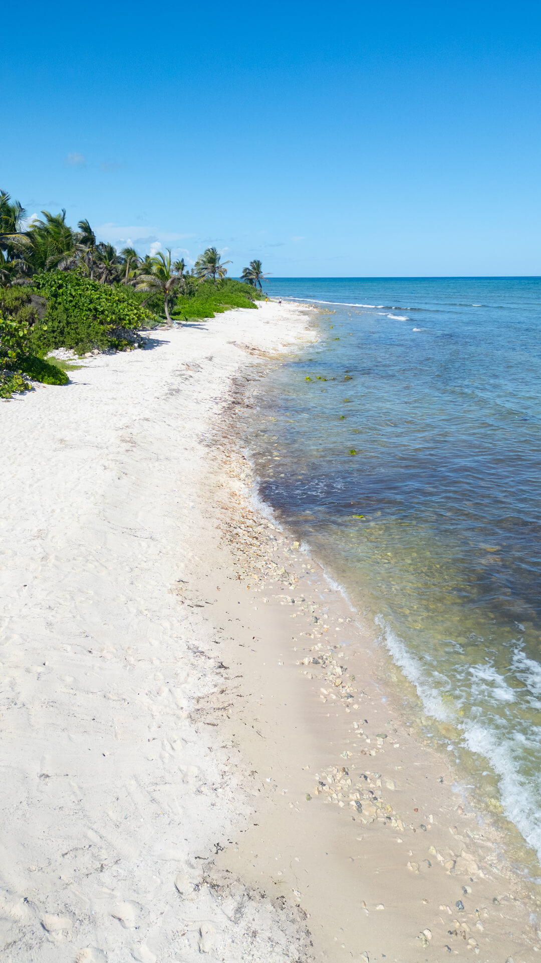 Lotes en venta frente al mar en Mahahual