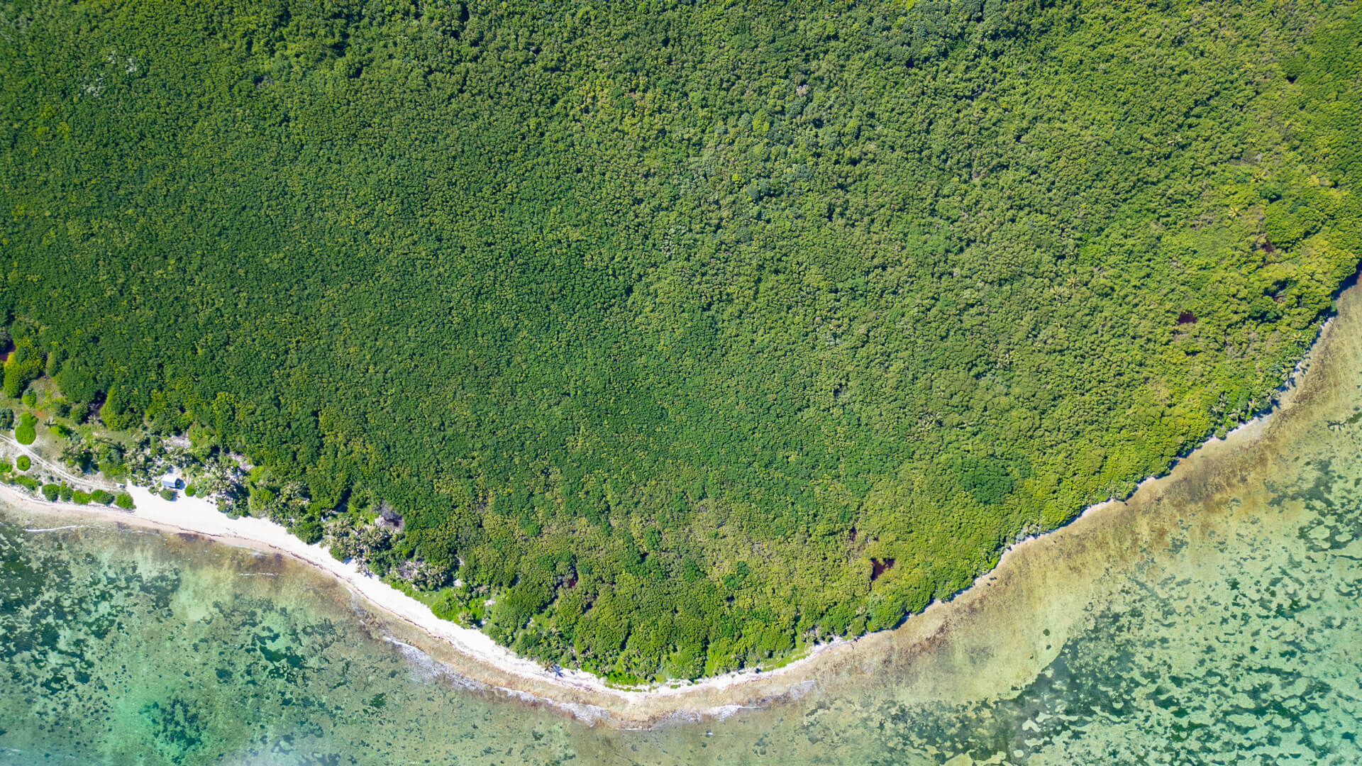 Lotes en venta frente al mar en Mahahual