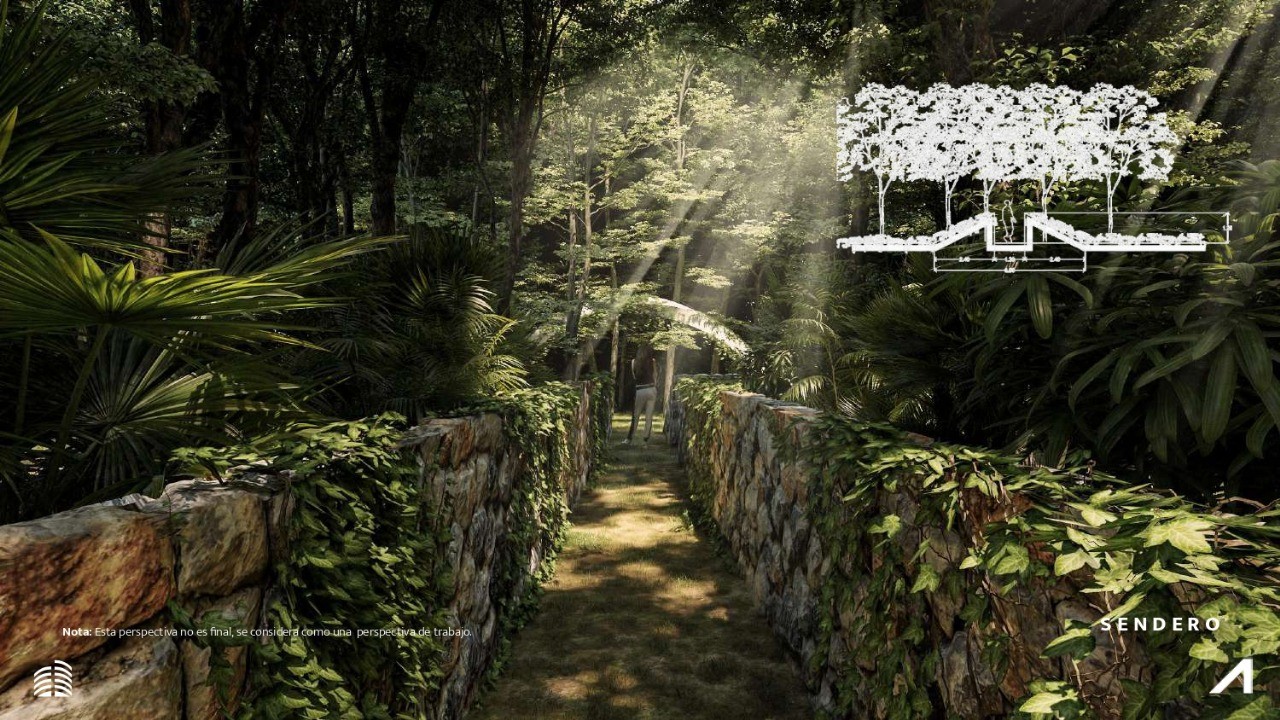 Terreno en Venta en Nido – Tulum 101