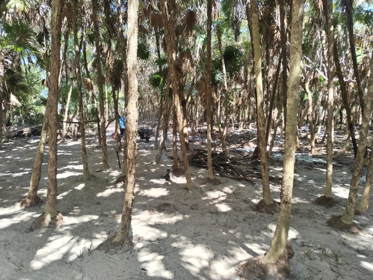 Terreno Frente al Mar en Venta en Mahahual, Quintana Roo