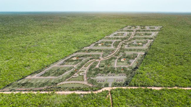 WhatsApp-Image-2025-06-23-at-12.28.35-PM