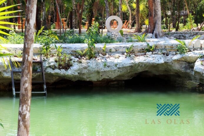 Terreno Premium en Tulum Country Club — Exclusividad, Naturaleza y Plusvalía Garantizada