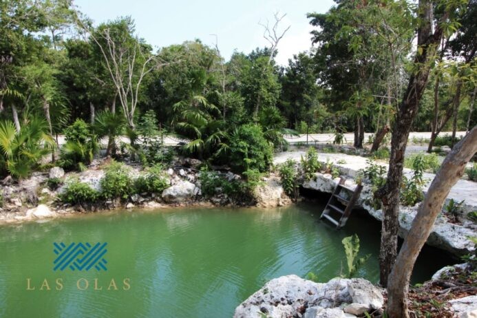 Terreno Premium en Tulum Country Club — Exclusividad, Naturaleza y Plusvalía Garantizada
