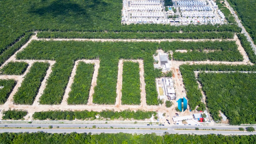 Tierramadre Lotes Residenciales con Amenidades Premium en Playa del Carmen