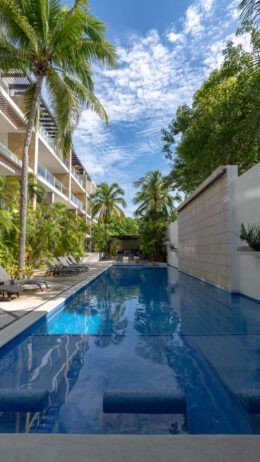 Oasis 12 – Lujo Urbano en el Corazón de Playa del Carmen