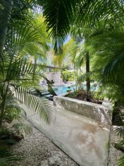 01-tulum-propiedades-min