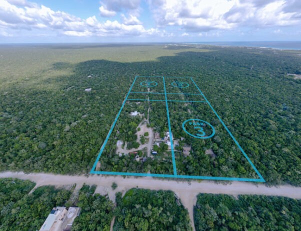 Lote Residencial Premium en Chemuyil: Gran Terreno Listo para Construir