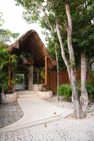 Departamento Boutique en Aldea Zamá: Lujo, Ubicación y Plusvalía en Tulum