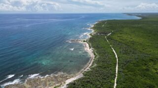 DJI_0977