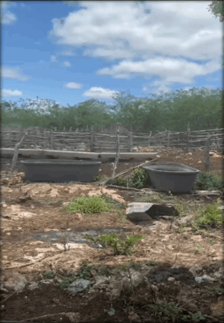 77 hectáreas de alto potencial de inversión en Yucatán