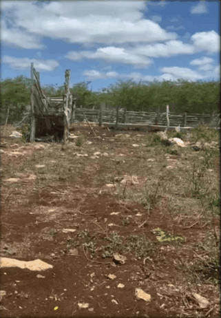 77 hectáreas de alto potencial de inversión en Yucatán