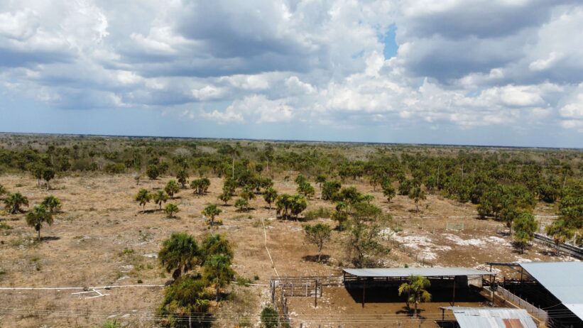 365 hectáreas ganaderas de alto nivel en Yucatán