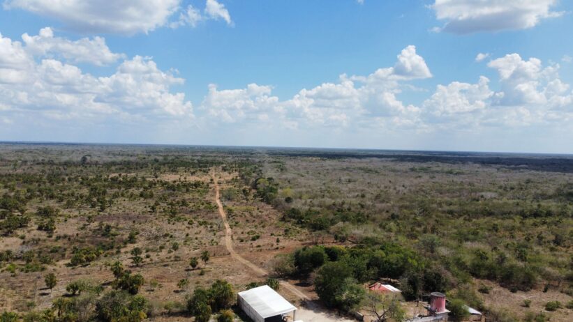 365 hectáreas ganaderas de alto nivel en Yucatán