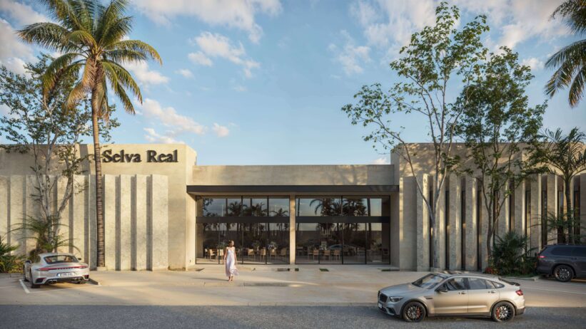 Tu Primera Gran Inversión en SelvaReal