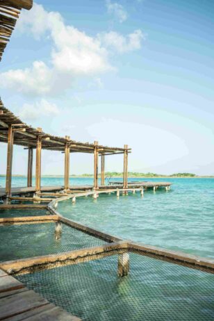 Exclusivos Departamentos Frente a la Laguna de Bacalar