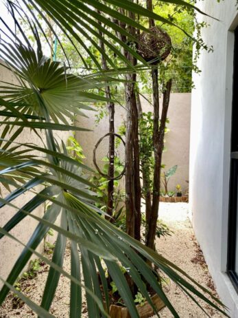 Loft en Venta en La Veleta, Tulum, con Patio Privado