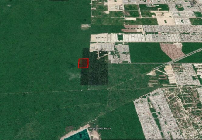 Terreno de inversión con frente a Avenida Lirio en Cancún