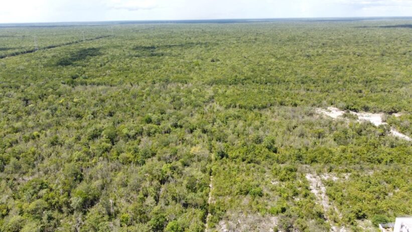 Terreno de inversión con frente a Avenida Lirio en Cancún